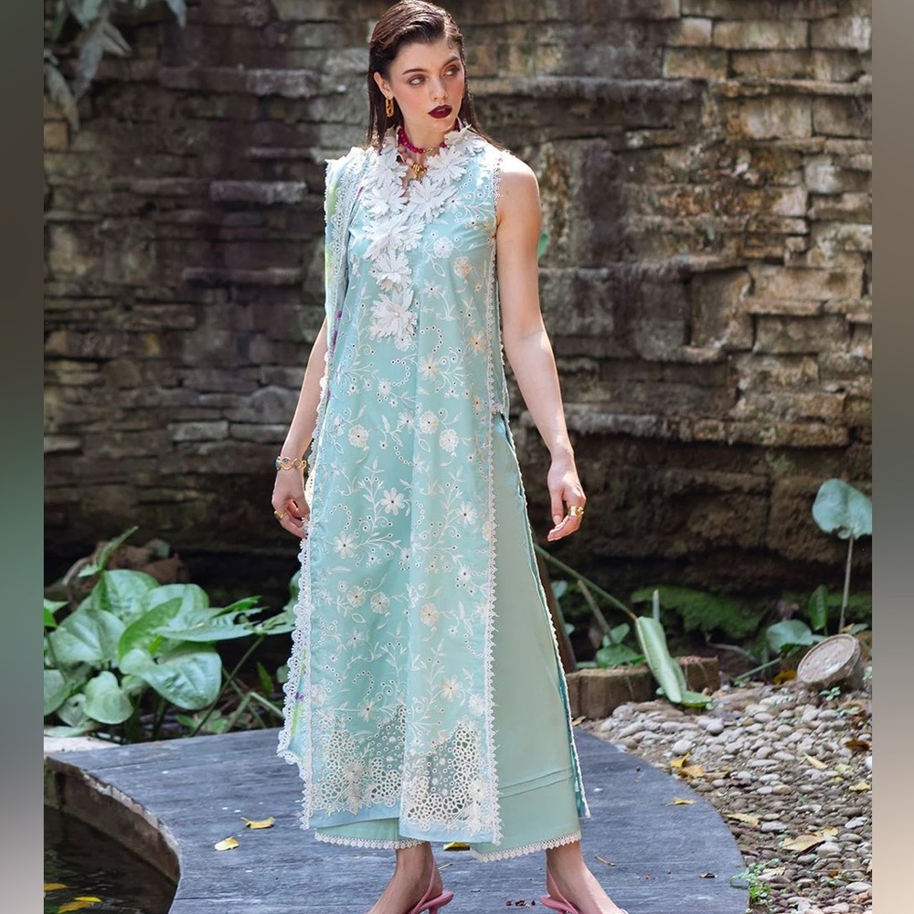 Pakistani Indian dress suit